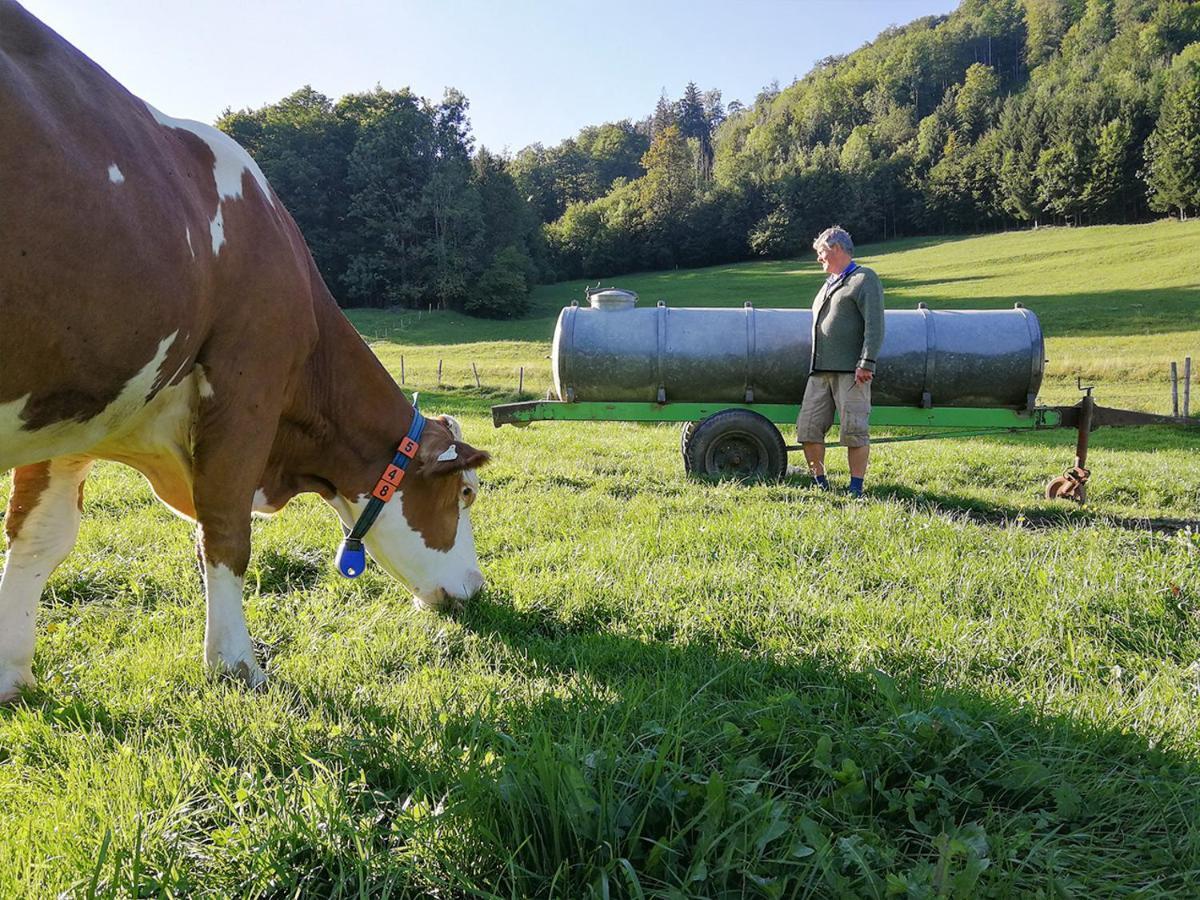 Almbauernhof Apartman Ruhpolding Kültér fotó