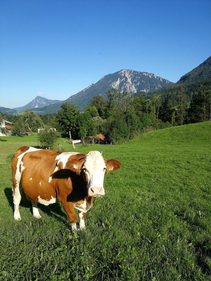 Almbauernhof Apartman Ruhpolding Kültér fotó